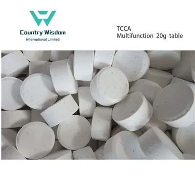 Tablette multifonction TCCA de qualité supérieure, 20g, désinfectant pour l'eau de piscine