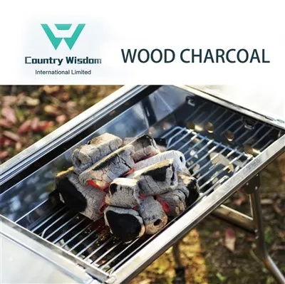 Charbon de bois pour barbecue de haute qualité, vente en gros, prix du charbon sans fumée